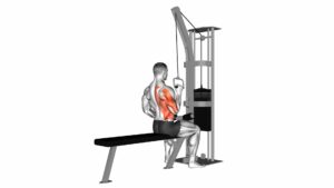 Cable One Arm Lat Pulldown - Video Exercise Guide & Tips