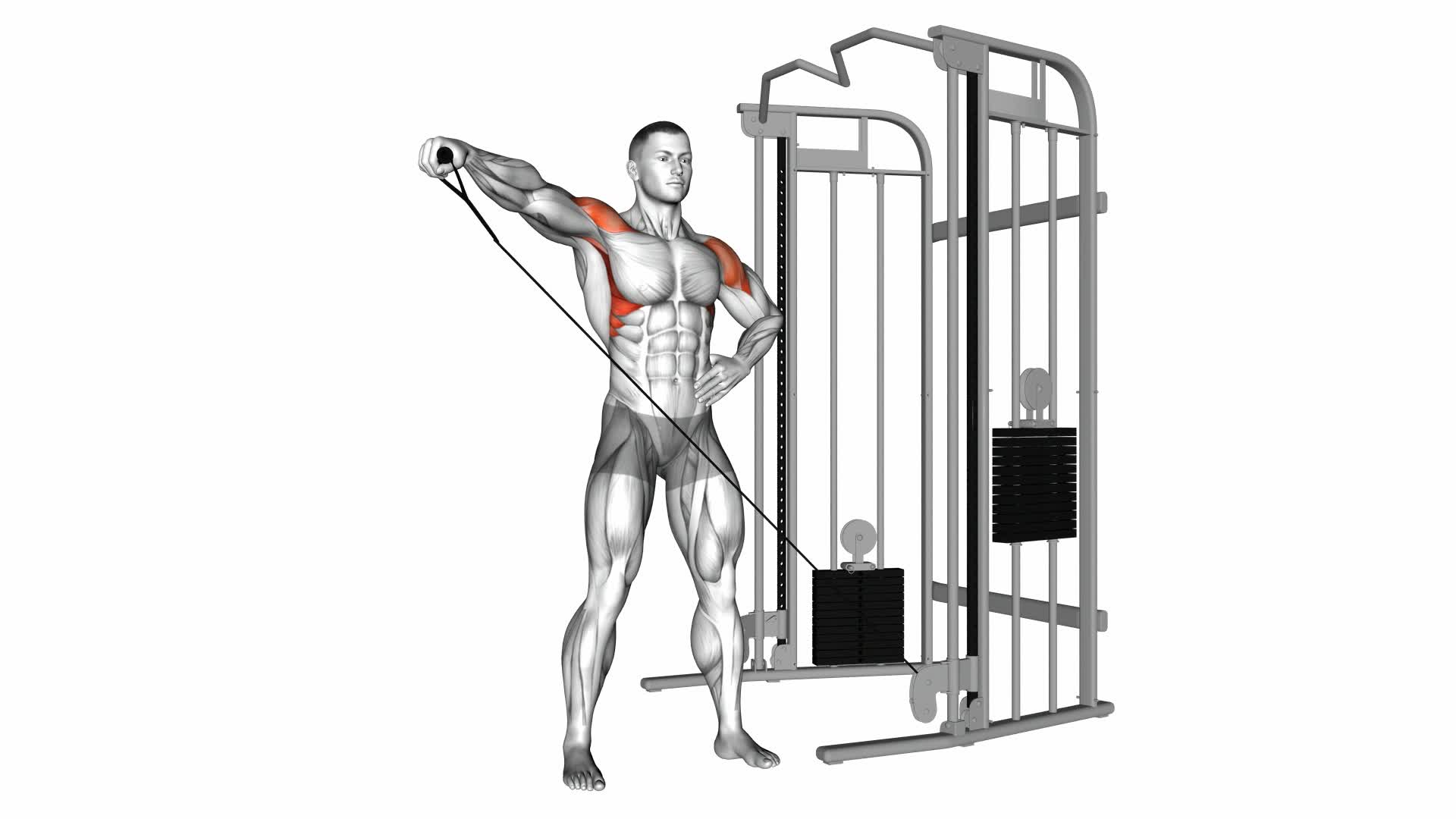 Cable One Arm Lateral Raise - Video Exercise Guide & Tips