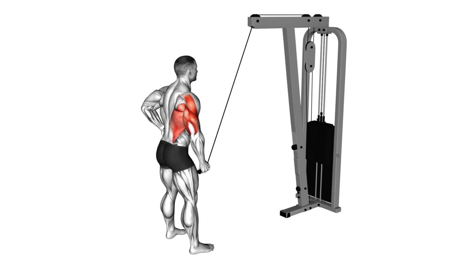 Cable One Arm Pulldown: Ultimate Guide & Tips