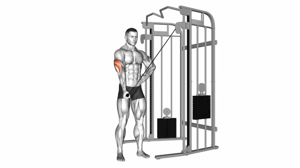 Cable One Arm Side Triceps Pushdown: Video Guide & Tips