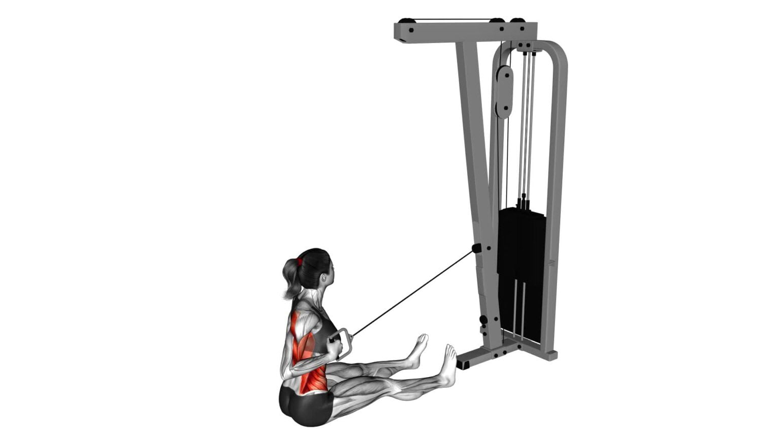 Cable One Arm Twisting Seated Row Female Exercise Guide And Tips 5825