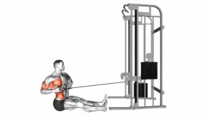 Cable One Arm Twisting Seated Row - Video Exercise Guide & Tips
