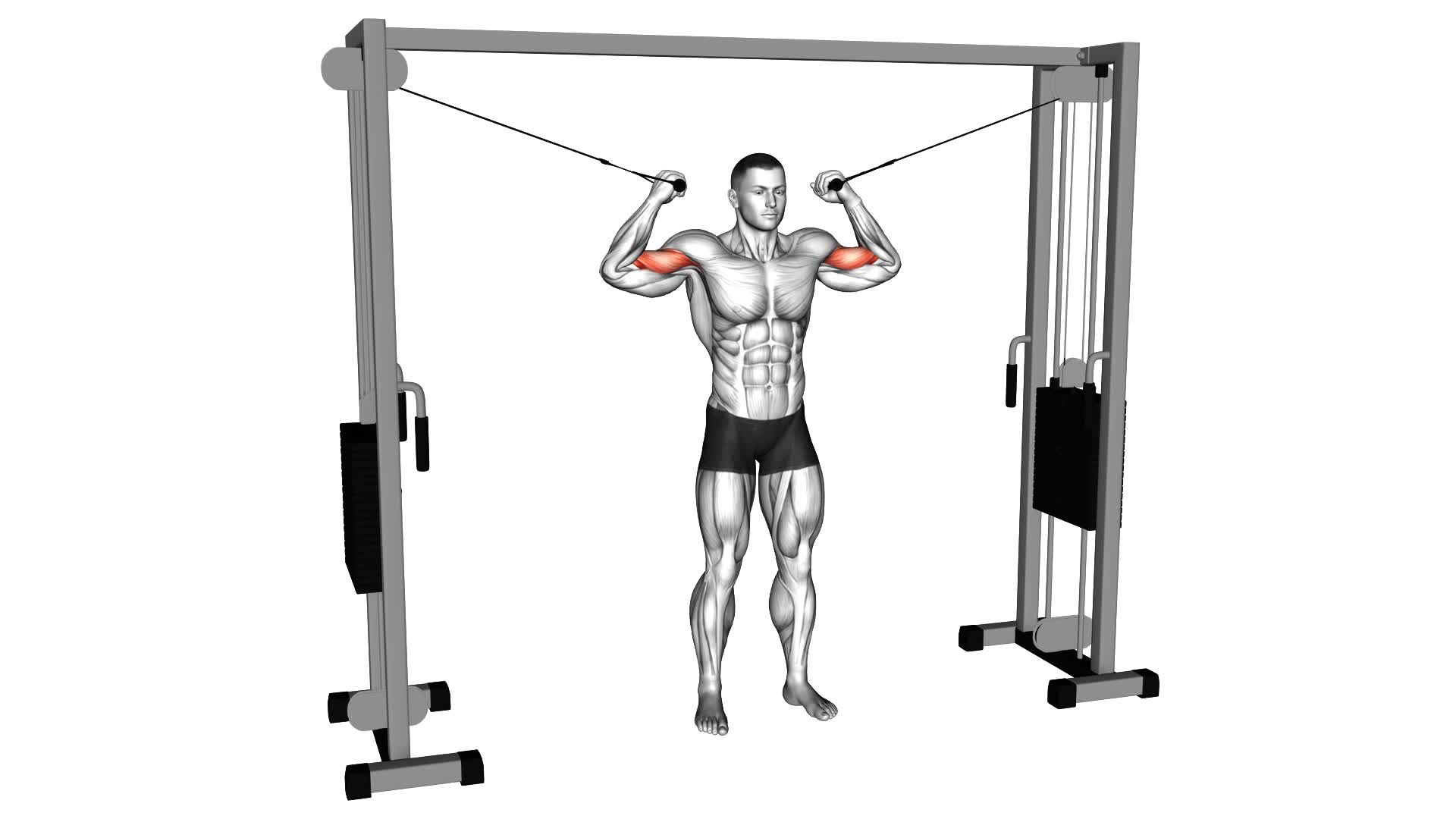 Cable Overhead Curl - Video Exercise Guide & Tips