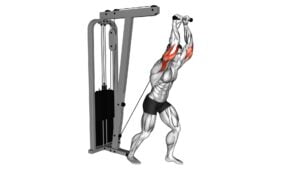 Cable Overhead Tricep Extension Straight Bar (male) - Video Exercise Guide & Tips