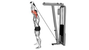 Cable Overhead Triceps Extension (Rope Attachment) - Video Exercise Guide & Tips