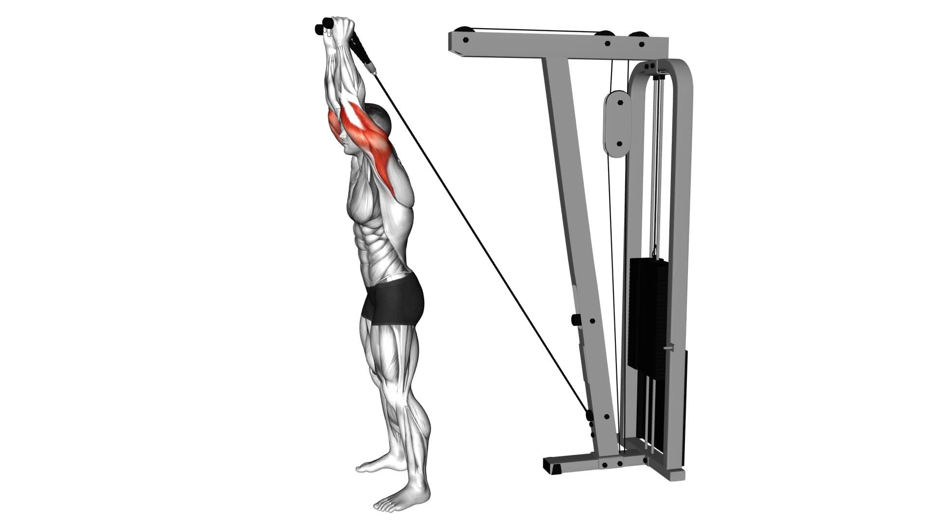 Cable Overhead Triceps Extension (Rope Attachment) - Video Exercise Guide & Tips