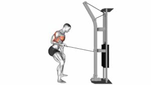 Cable Palm Rotational Row - Video Exercise Guide & Tips