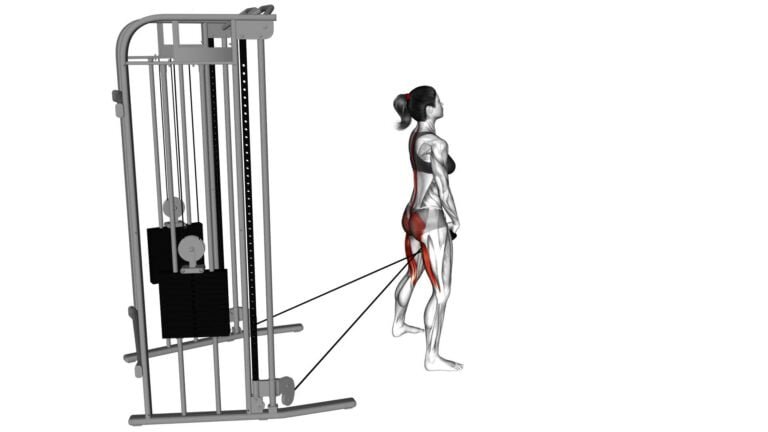 Cable Pull Through (female) - Exercise Guide & Tips