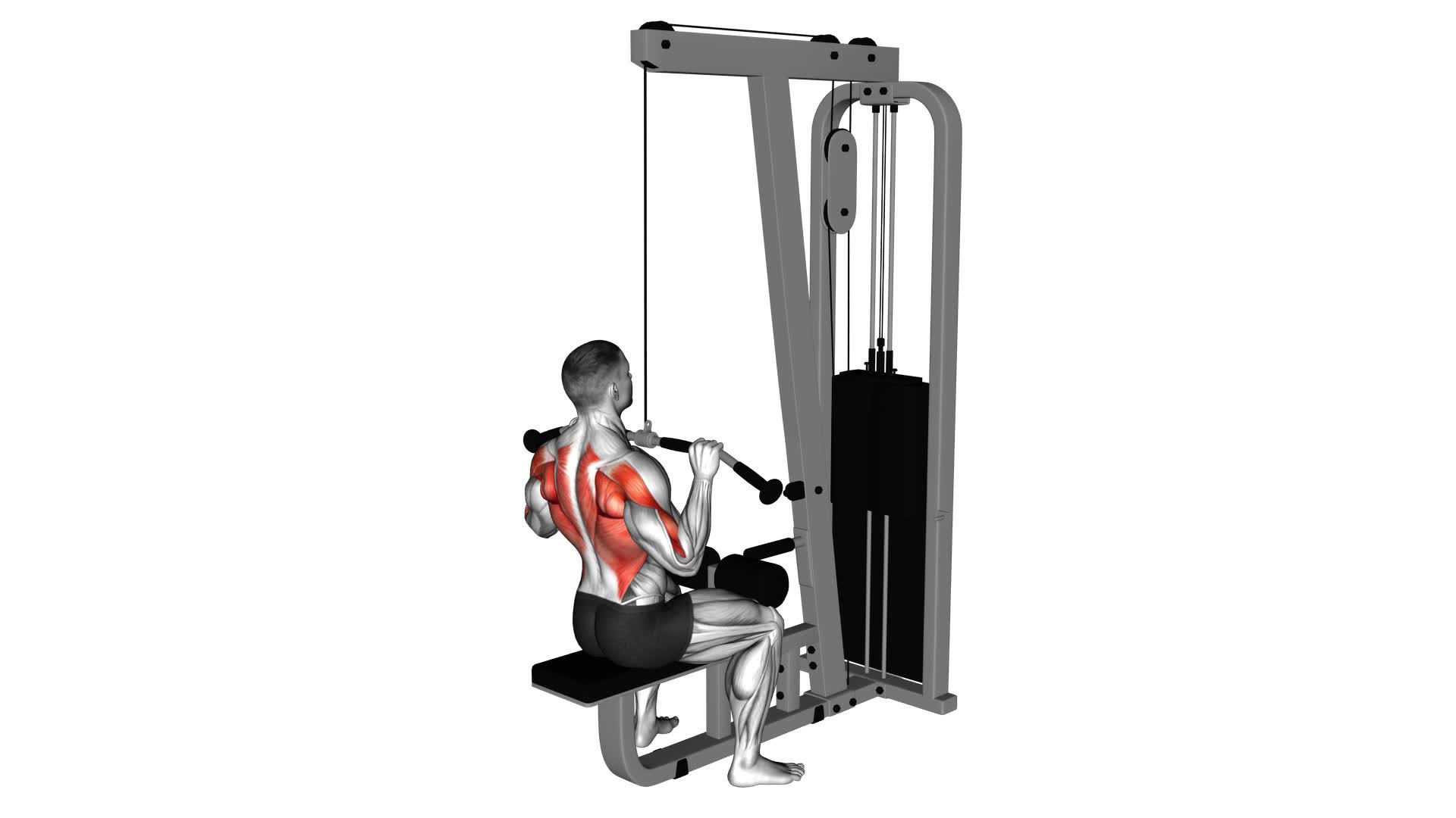 Cable Pulldown - Video Exercise Guide & Tips