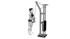 Cable Pushdown (With Rope Attachment) (Female) - Video Exercise Guide & Tips