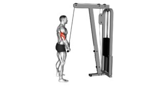 Cable Pushdown (With Rope Attachment) - Video Exercise Guide & Tips