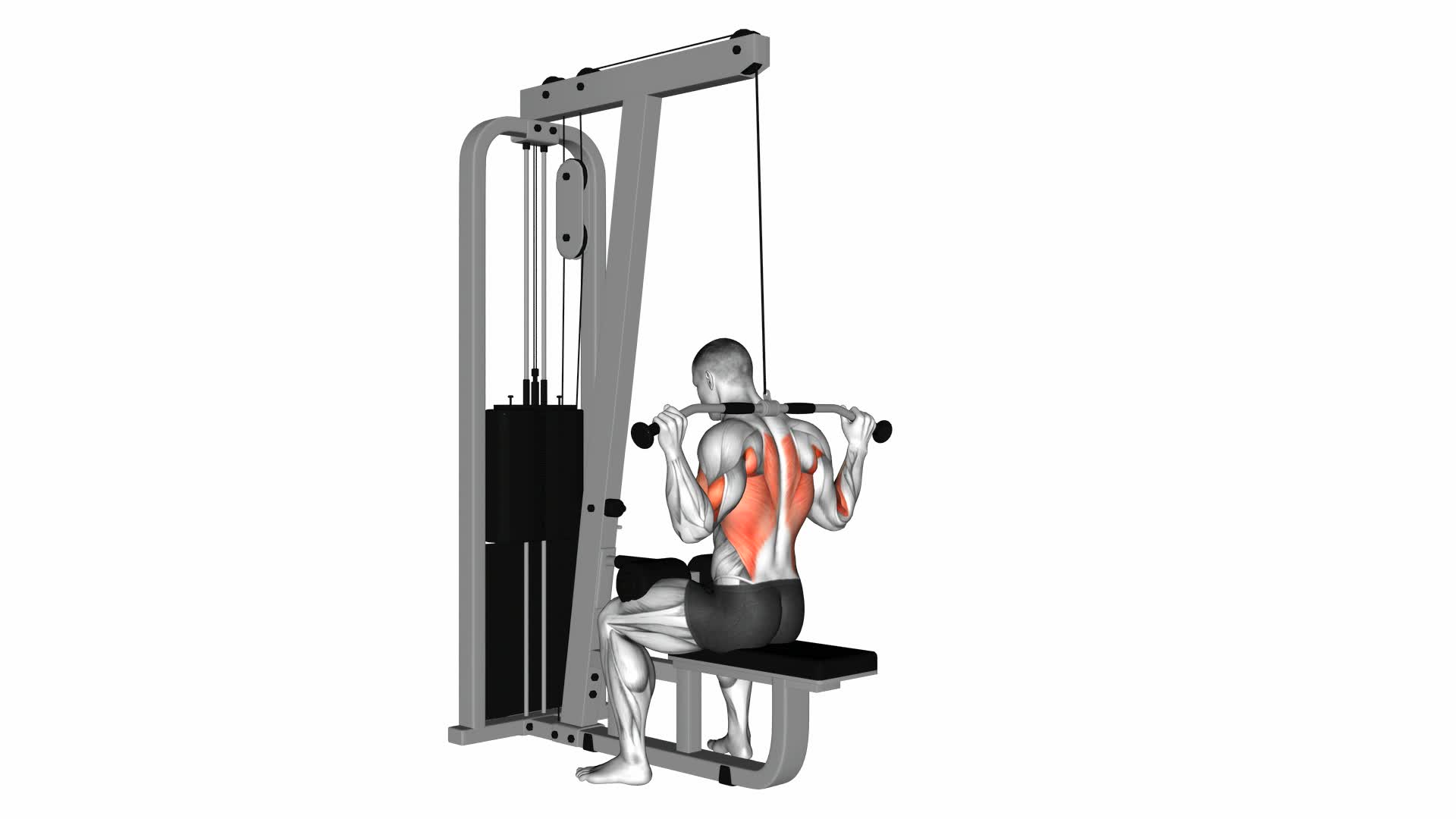 Cable Rear Pulldown - Video Exercise Guide & Tips