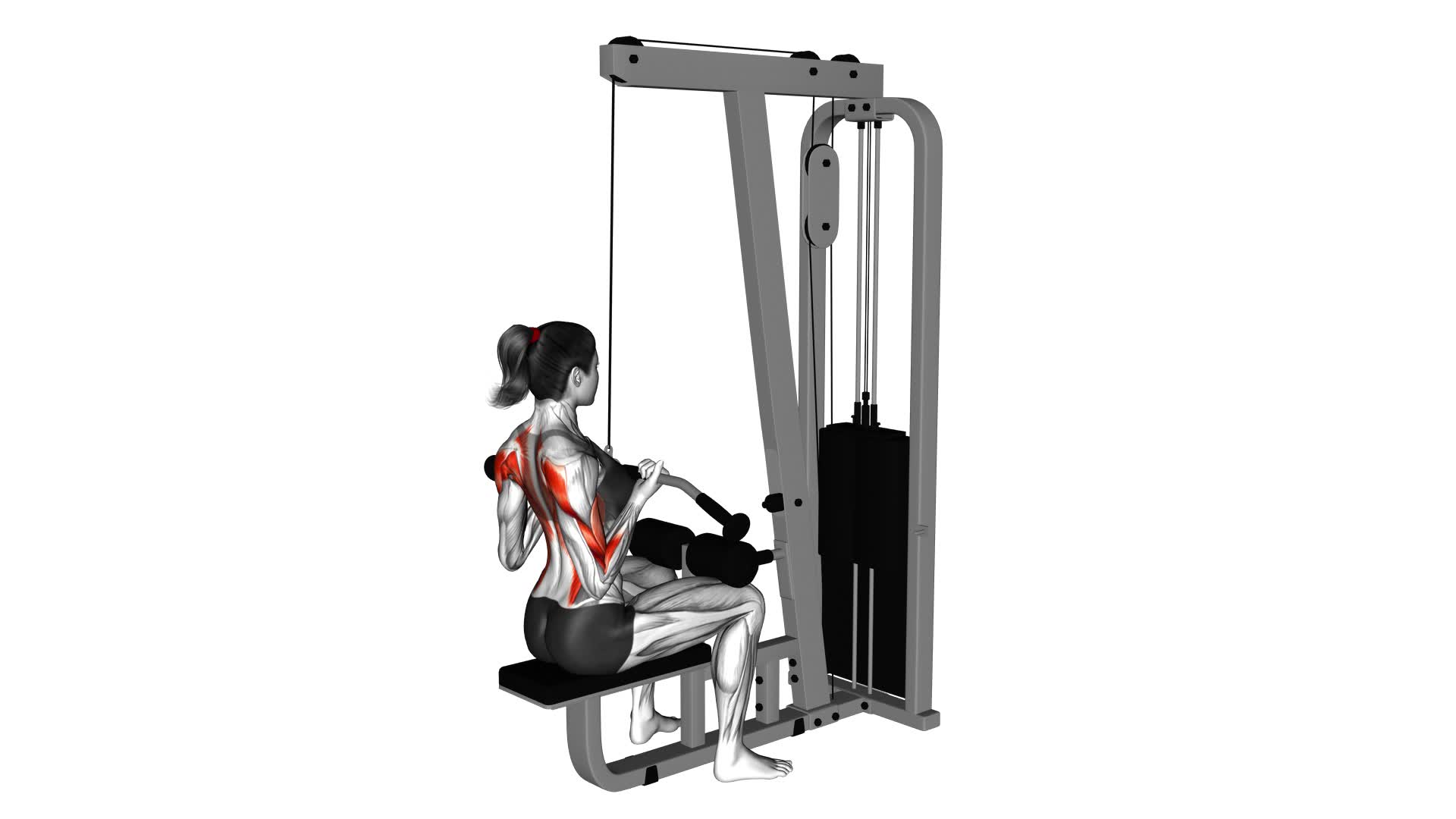 Cable Reverse Grip Pulldown (female) - Video Exercise Guide & Tips