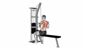 Cable Reverse-grip Straight Back Seated High Row - Video Exercise Guide & Tips