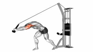 Cable Rope High Pulley Overhead Tricep Extension - Video Exercise Guide & Tips