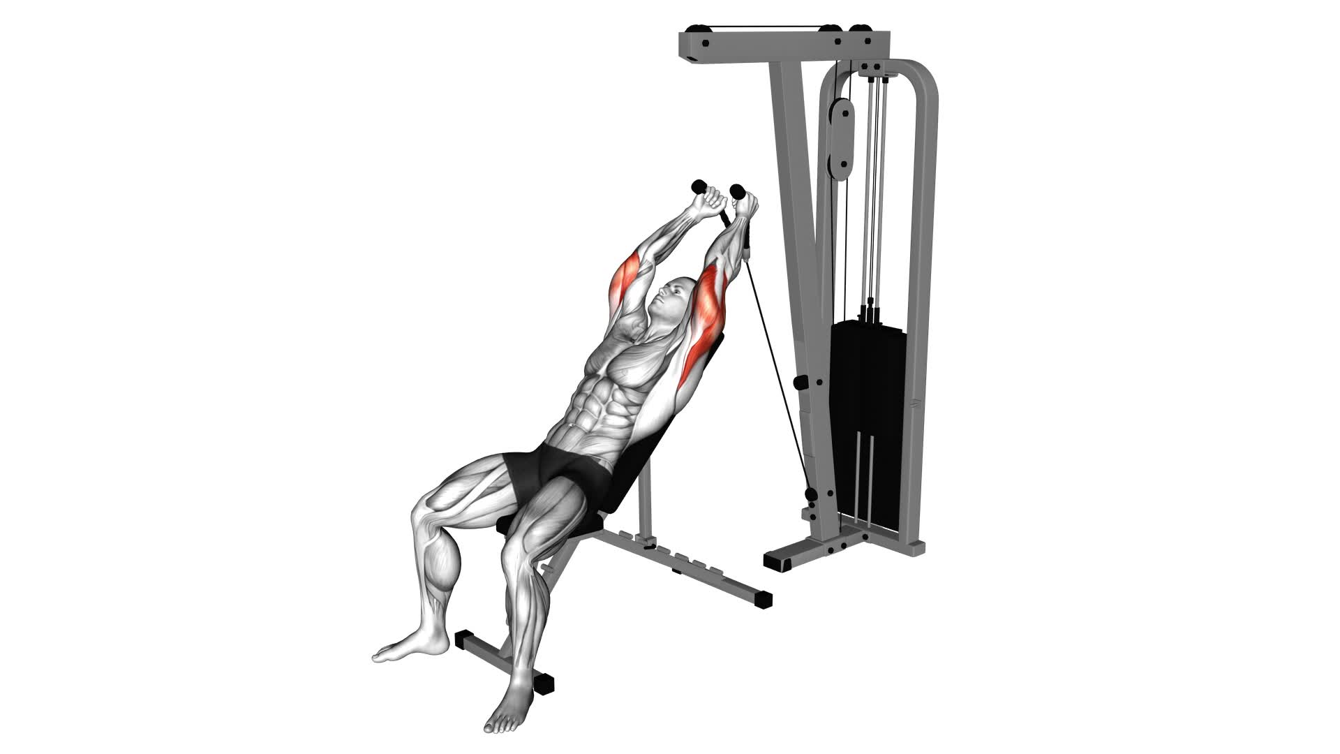 Cable Rope Incline Tricep Extension - Video Exercise Guide & Tips