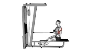 Cable Rope Seated Row - Video Exercise Guide & Tips