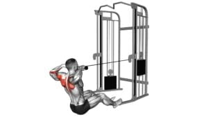 Cable Seated Face Pull (With Rope) (Male) - Video Exercise Guide & Tips