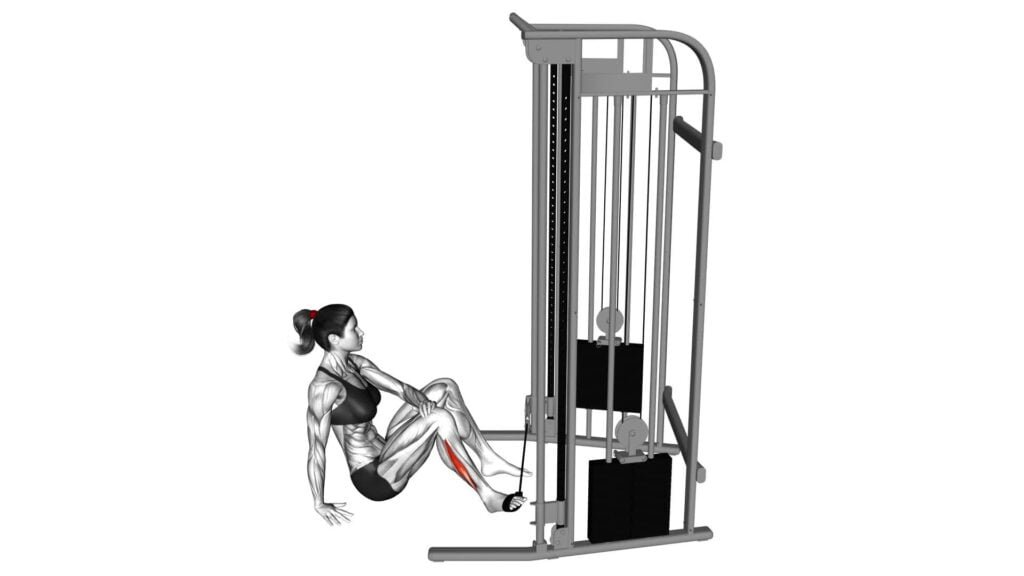 Cable Seated Foot Inversion (female) - Exercise Guide & Tips