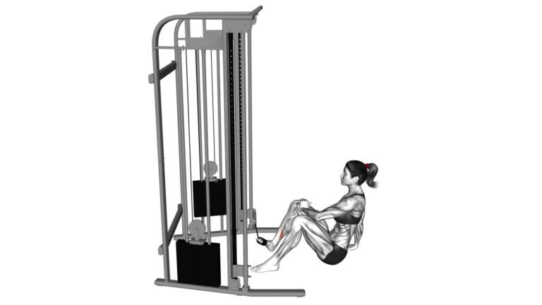 Cable Seated Foot Inversion (female) - Exercise Guide & Tips