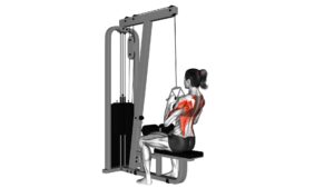 Cable Seated High Row (V-bar) (female) - Video Exercise Guide & Tips