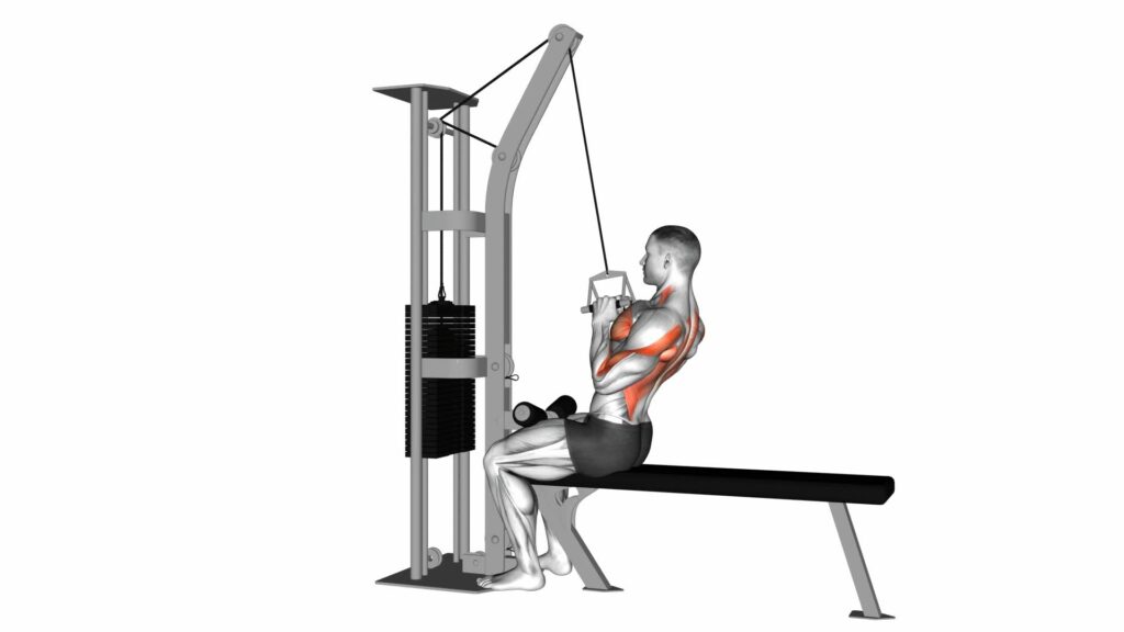 Cable Seated High Row (v-bar) - Exercise Guide & Tips