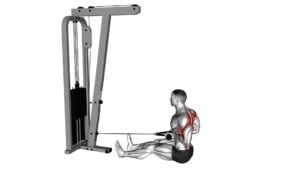Cable Seated on Floor Row With Rope - Video Exercise Guide & Tips