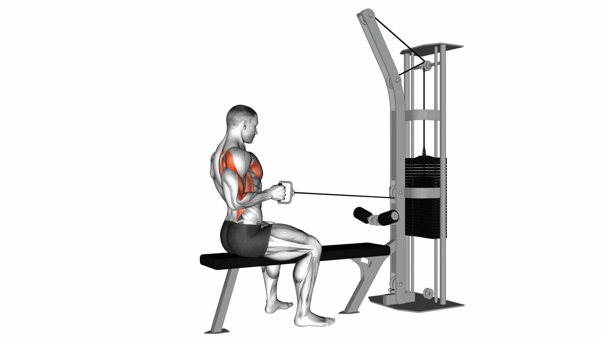 Cable Seated One Arm Alternate Row - Video Exercise Guide & Tips