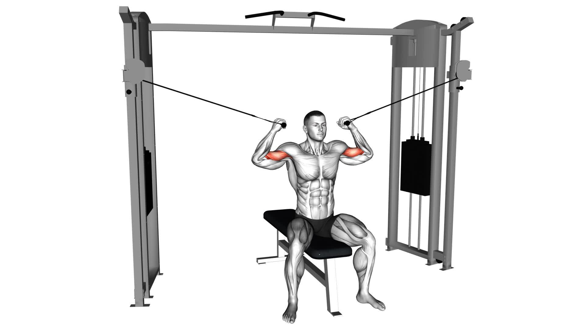 Cable Seated Overhead Curl - Video Exercise Guide & Tips