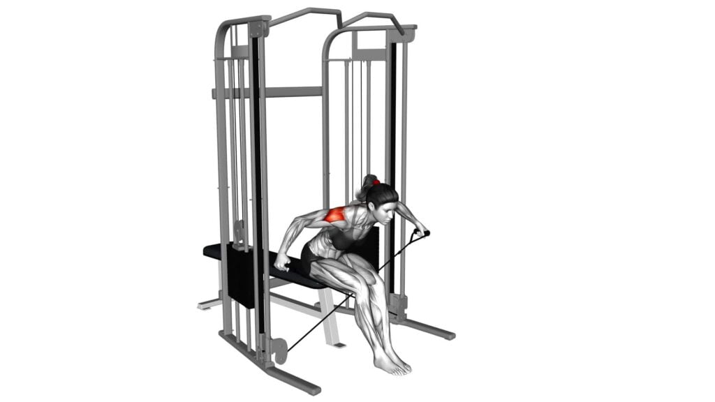 Cable Seated Rear Delt Raise Female Exercise Guide And Tips