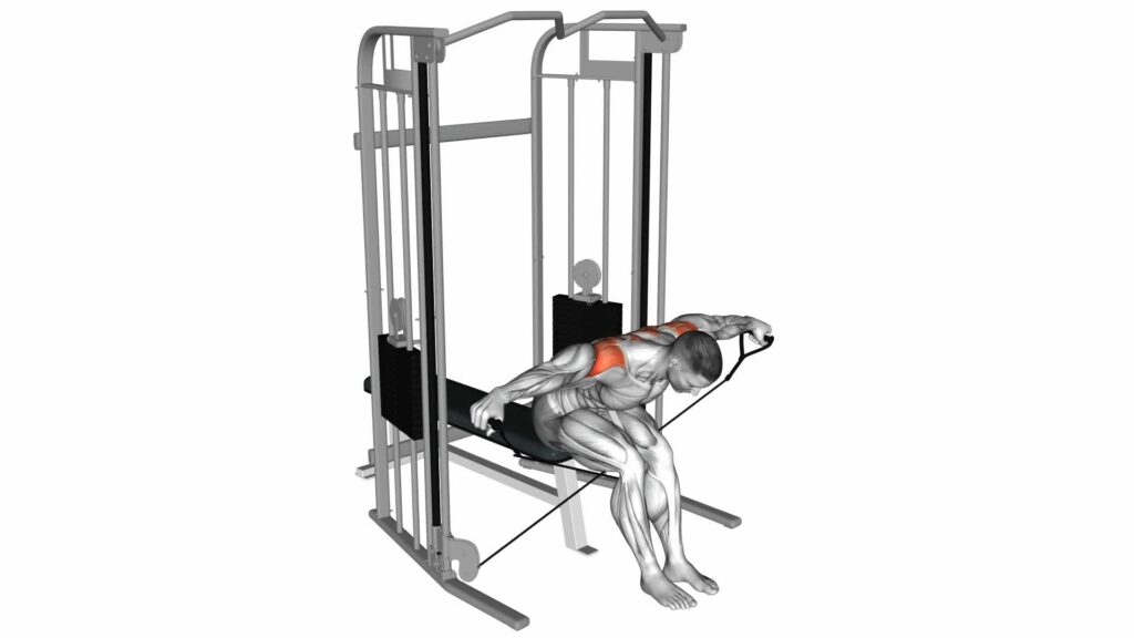 Cable Seated Rear Lateral Raise Ultimate Guide And Tips 