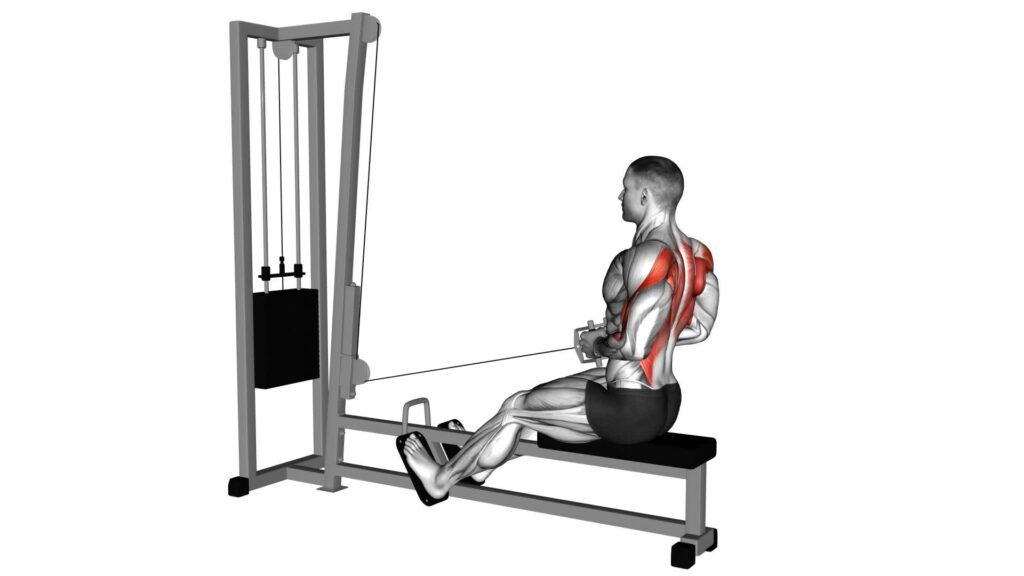 Cable Seated Row: Ultimate Guide & Tips