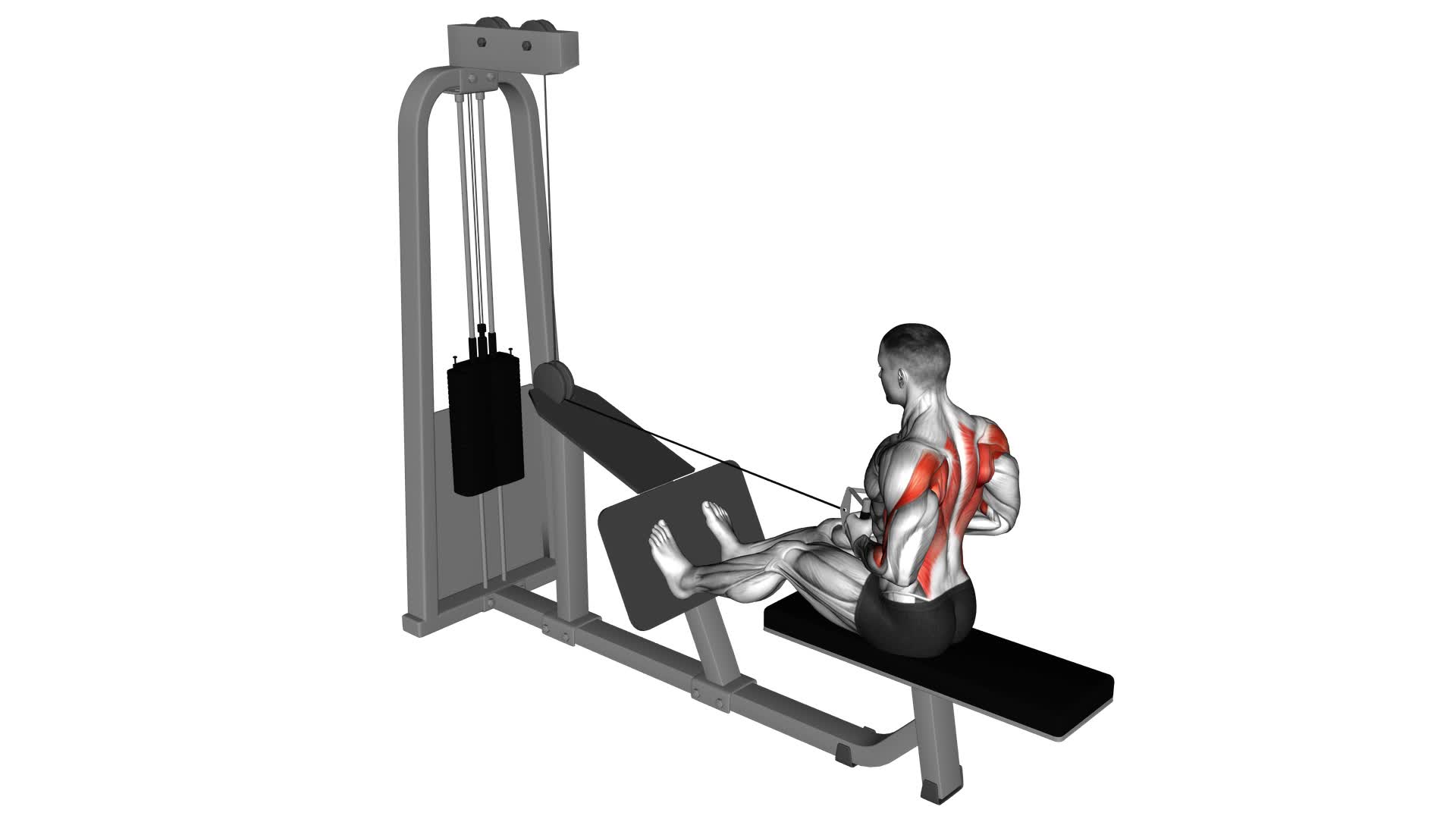 Cable Seated Row With V-Bar - Video Exercise Guide & Tips