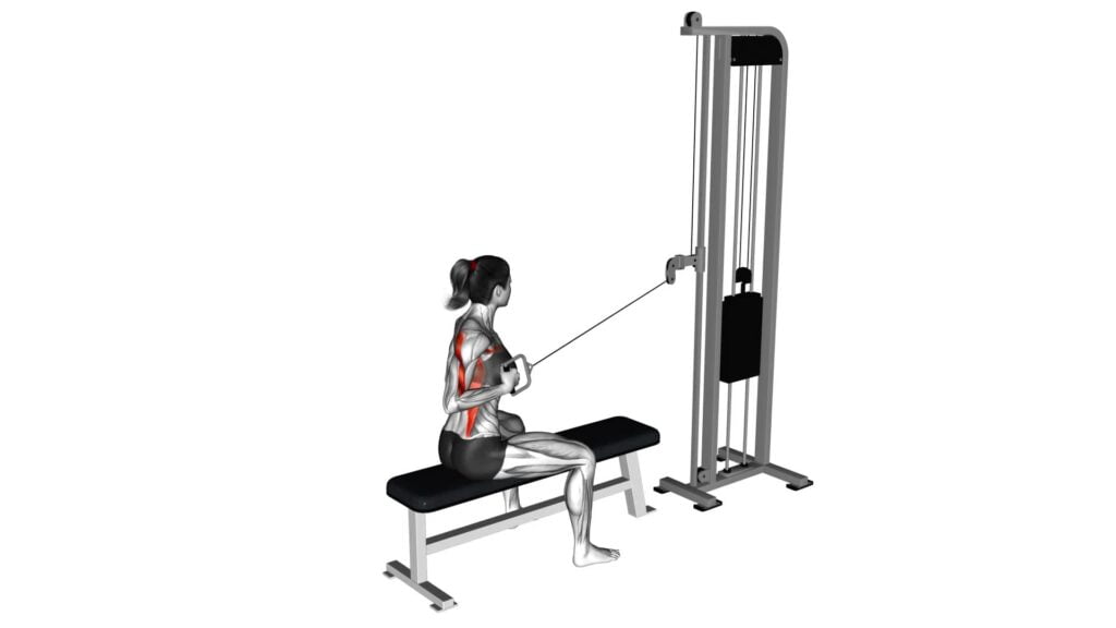 Cable Seated Single Arm Row (female) - Exercise Guide & Tips