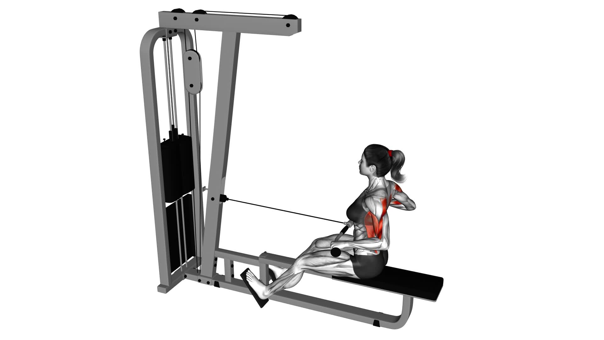 Cable Seated Wide-grip Row (female) - Video Exercise Guide & Tips