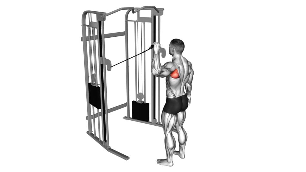 Cable Shoulder 90 Degrees External Rotation - Video Exercise Guide 