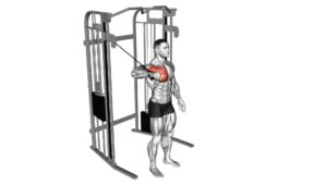 Cable Shoulder 90 Degrees Internal Rotation - Video Exercise Guide & Tips