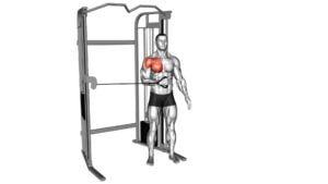 Cable Shoulder Internal Rotation - Video Exercise Guide & Tips