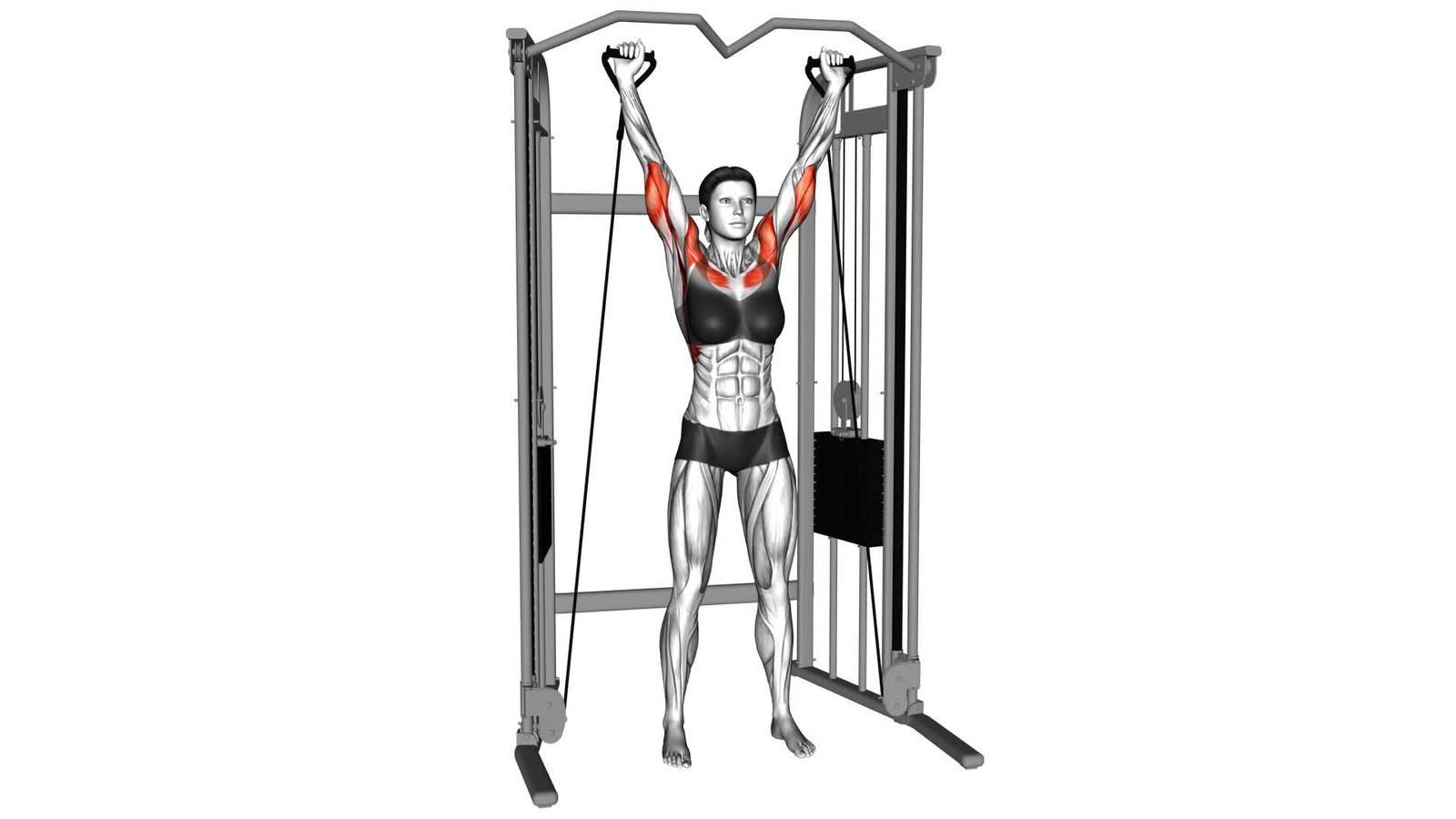 Shoulder Press On Cable Machine Proper Form And Efficient Workouts Shoulder Press On Cable Machine Proper Form And Efficient Workouts