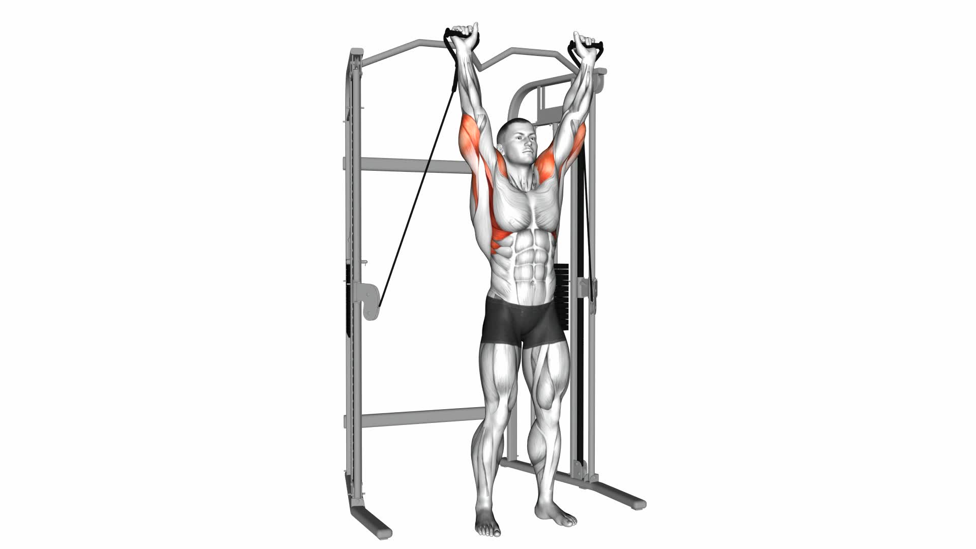 Cable Shoulder Press - Video Exercise Guide & Tips
