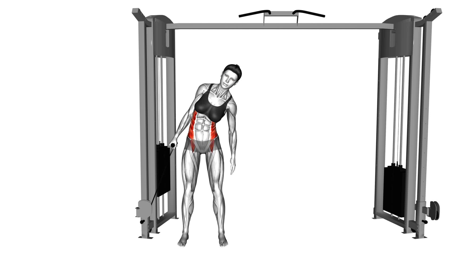 Cable Side Bend (female) - Video Exercise Guide & Tips