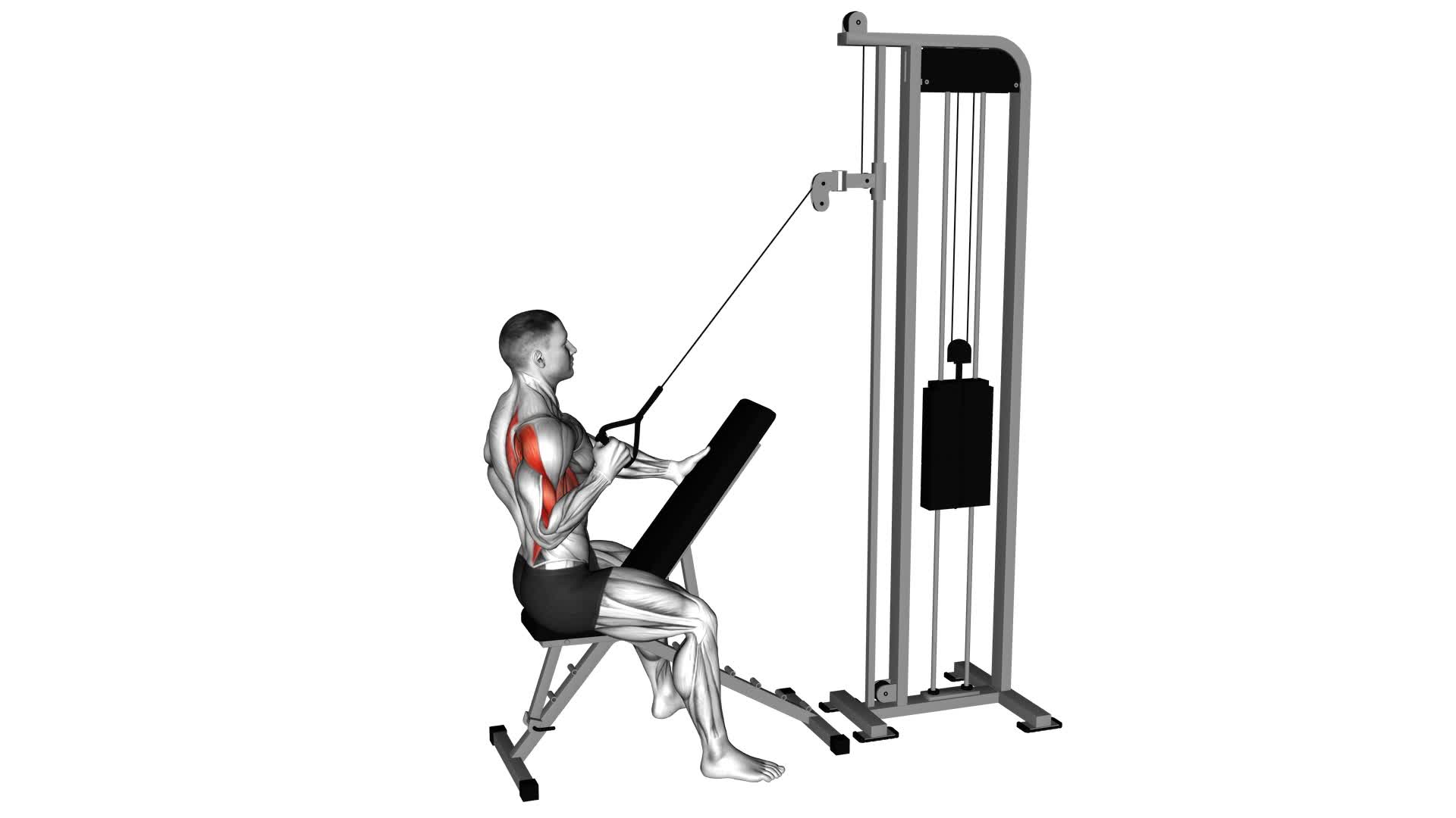 Cable Single Arm High Row - Video Exercise Guide & Tips