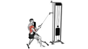 Cable Single Arm High Row With Chest Support - Video Exercise Guide & Tips