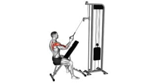 Cable Single Arm High Scapular Row - Video Exercise Guide & Tips