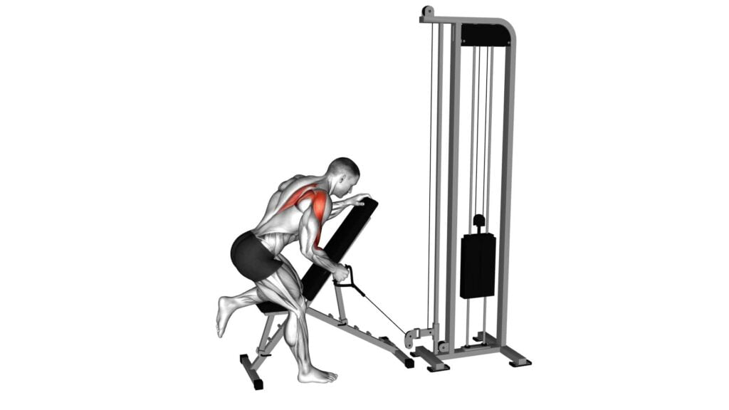 Cable Single Arm Low Scapular Row - Exercise Guide & Tips