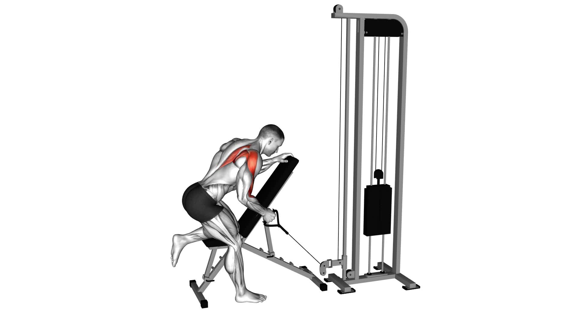 Cable Single Arm Low Scapular Row - Video Exercise Guide & Tips