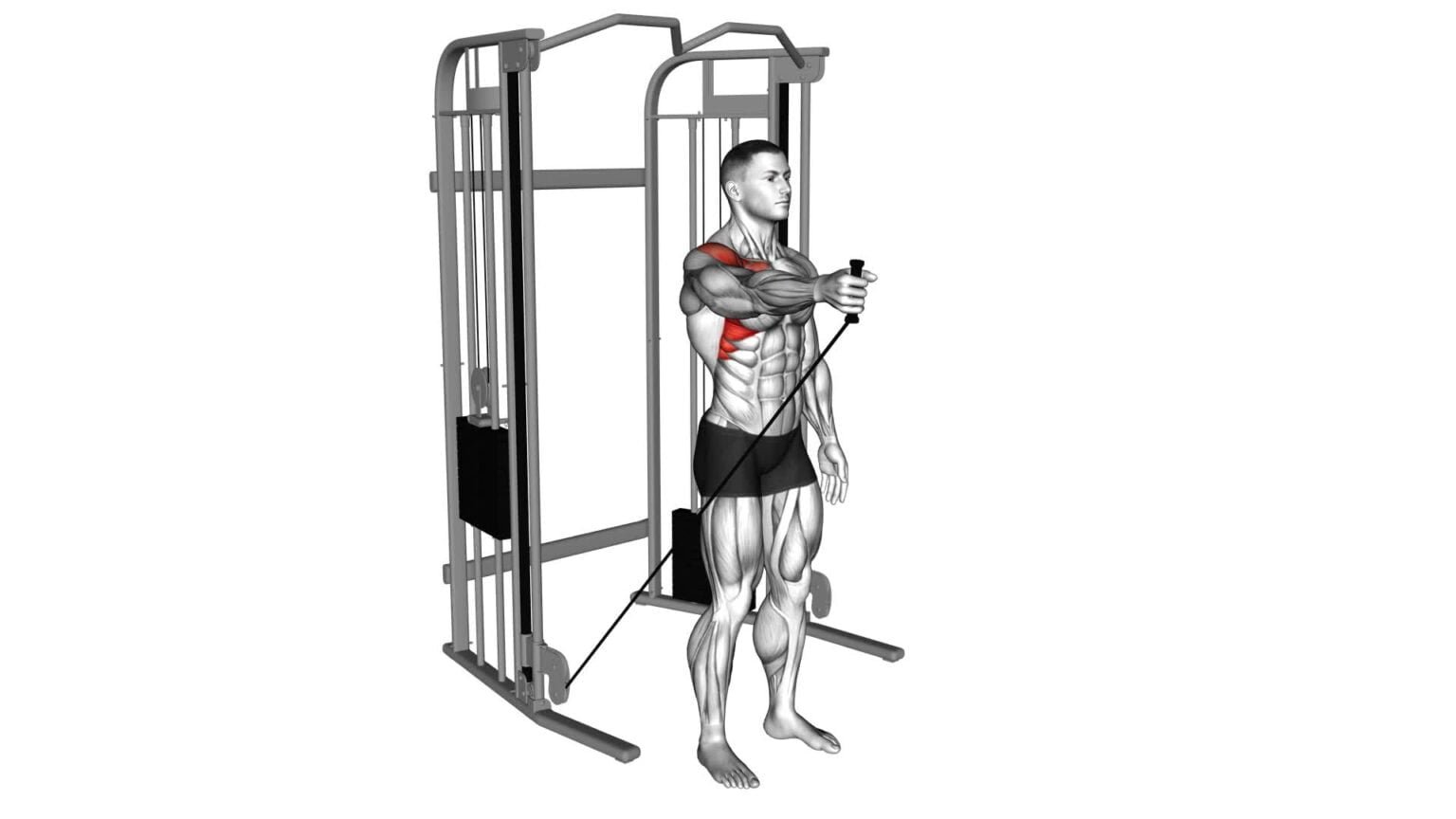 Cable One Arm Neutral Grip Biceps Curl - Exercise Guide & Tips