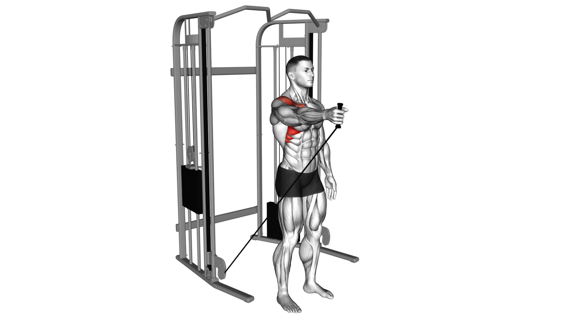 Cable Single Arm Neutral Grip Front Raise - Video Exercise Guide & Tips