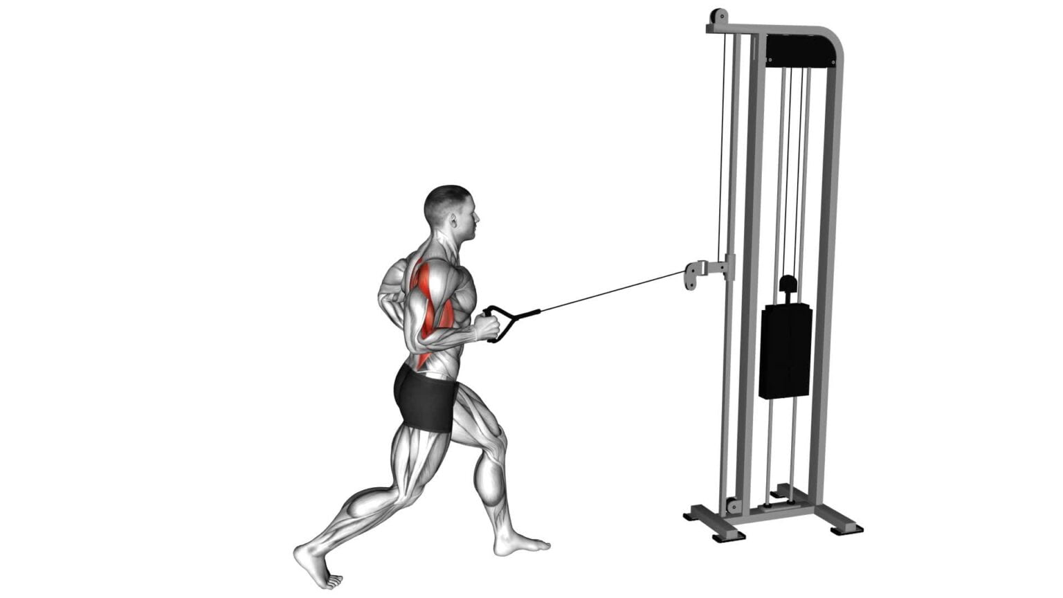 Cable Split Stance Single Arm Row (Male) - Exercise Guide & Tips