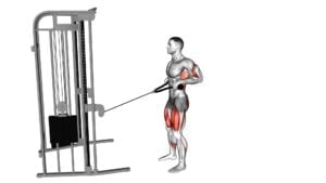 Cable Squat Row (With Rope Attachment) - Video Exercise Guide & Tips